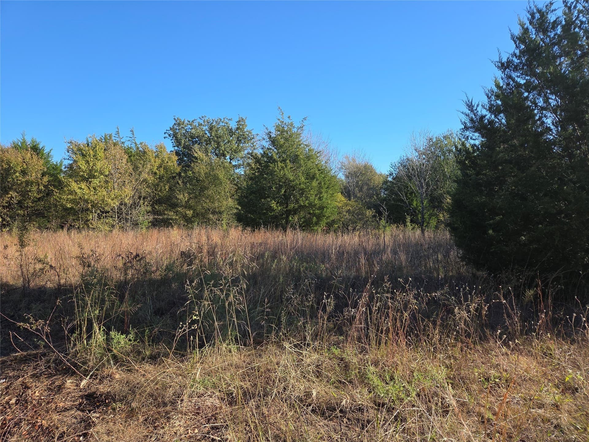 0.55 acres in Navarro County - photo 9