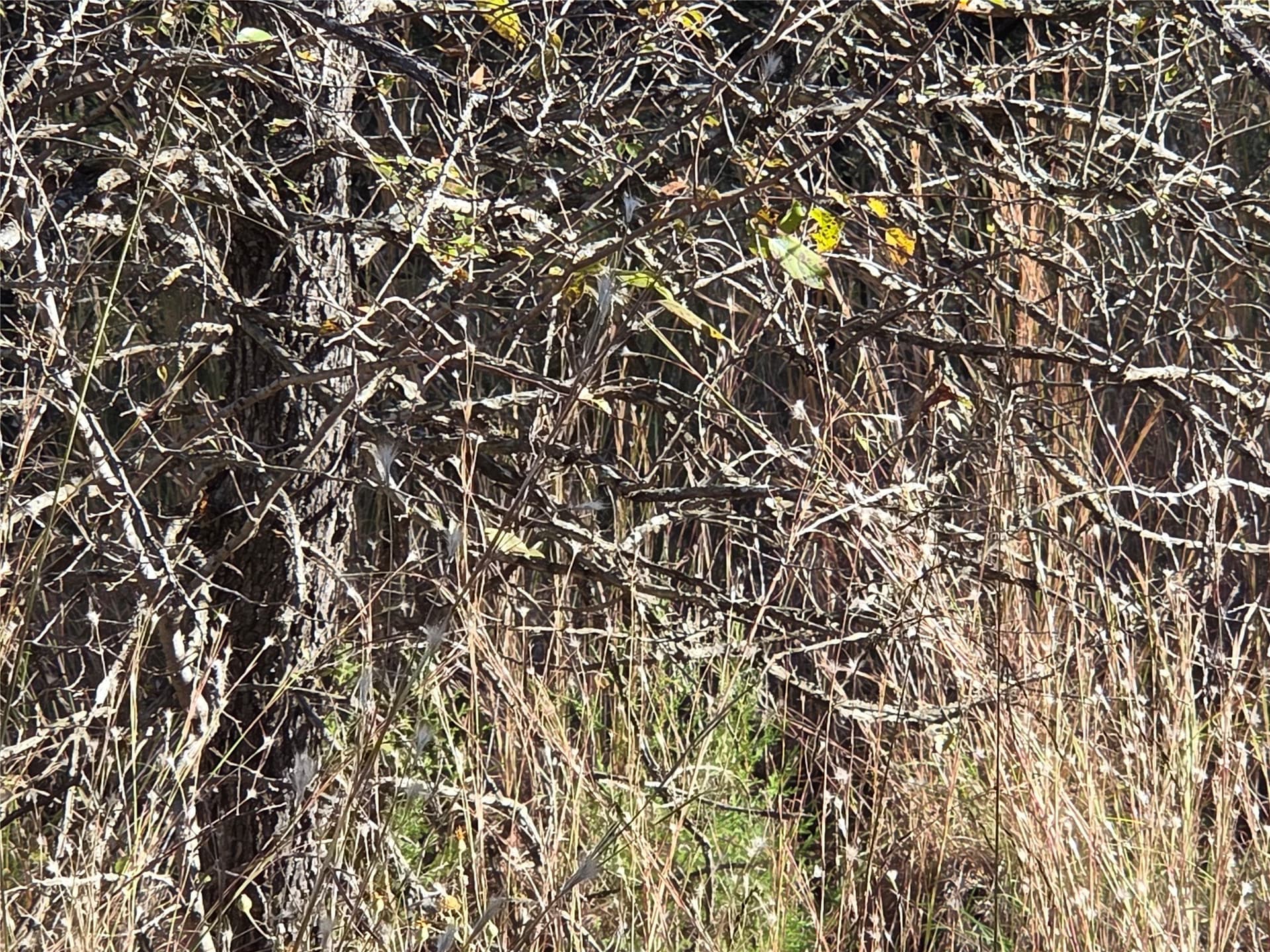 0.55 acres in Navarro County - photo 18