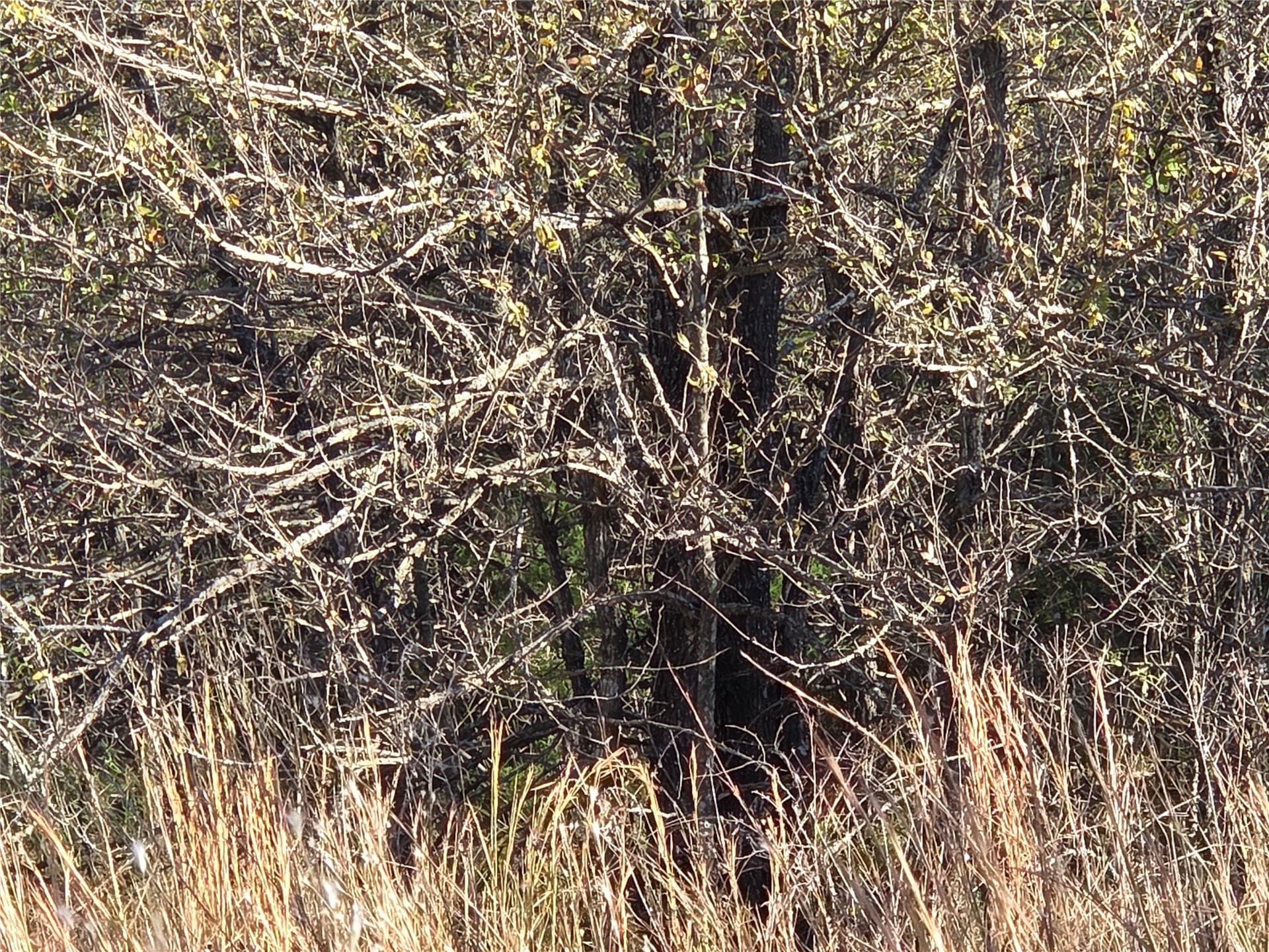 0.55 acres in Navarro County - photo 28