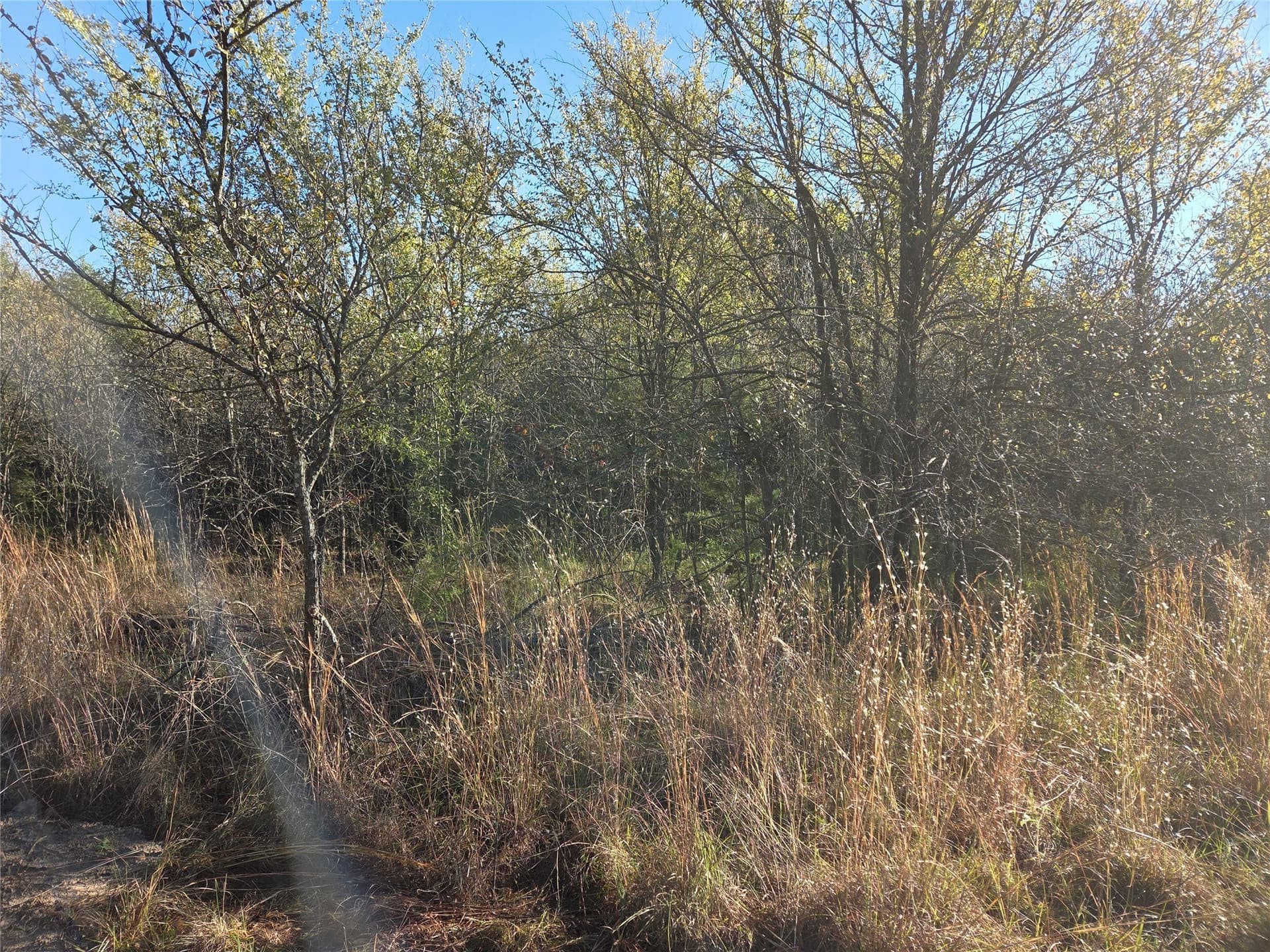 0.55 acres in Navarro County - photo 4