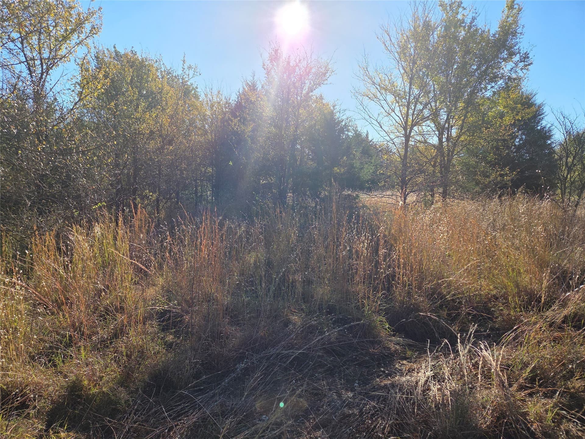 0.55 acres in Navarro County - photo 13