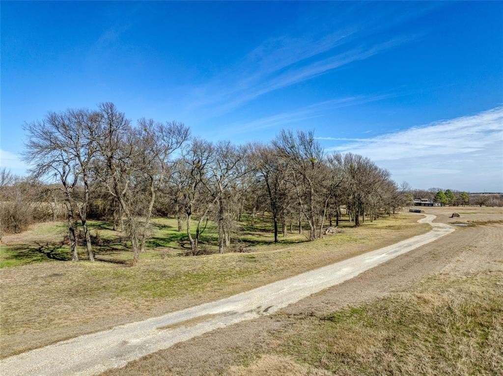 53.3 acres in Grayson County gallery image 4