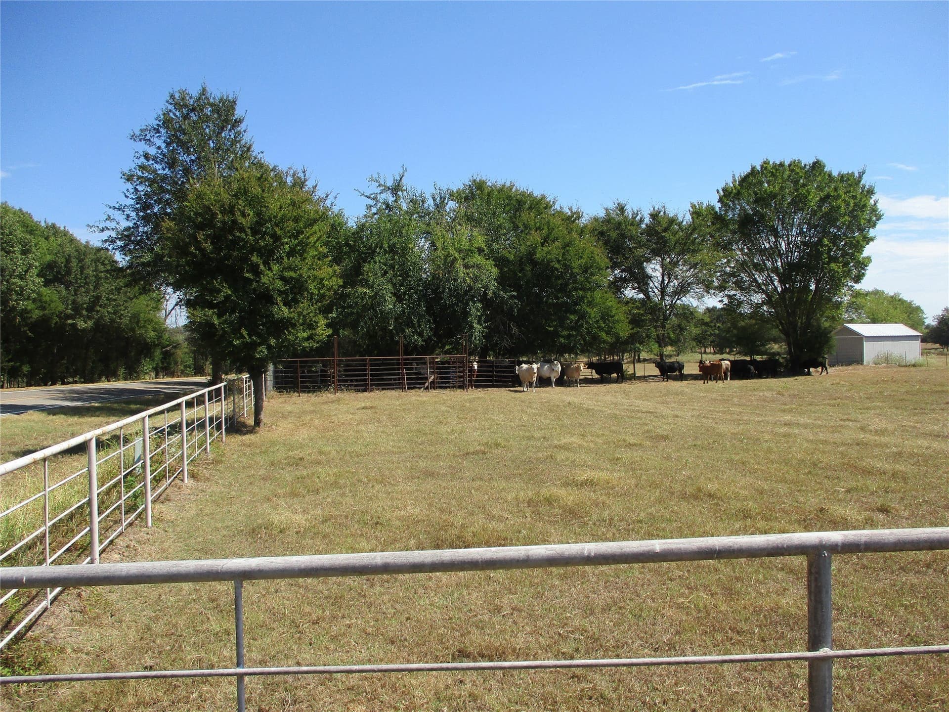13.61 acres in Rains County - photo 3