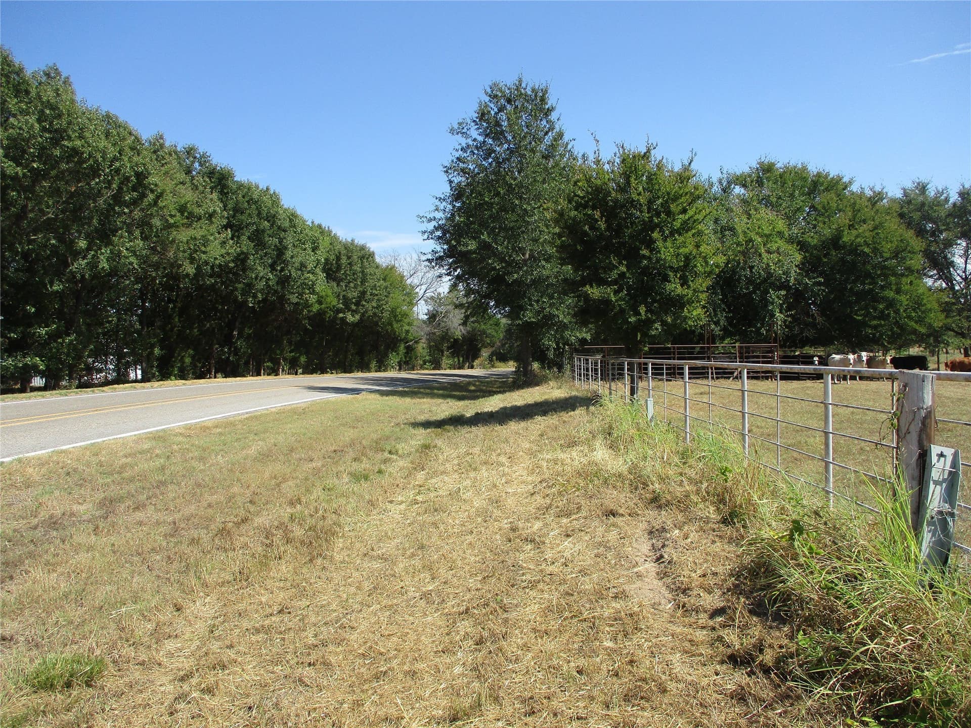 13.61 acres in Rains County - photo 4