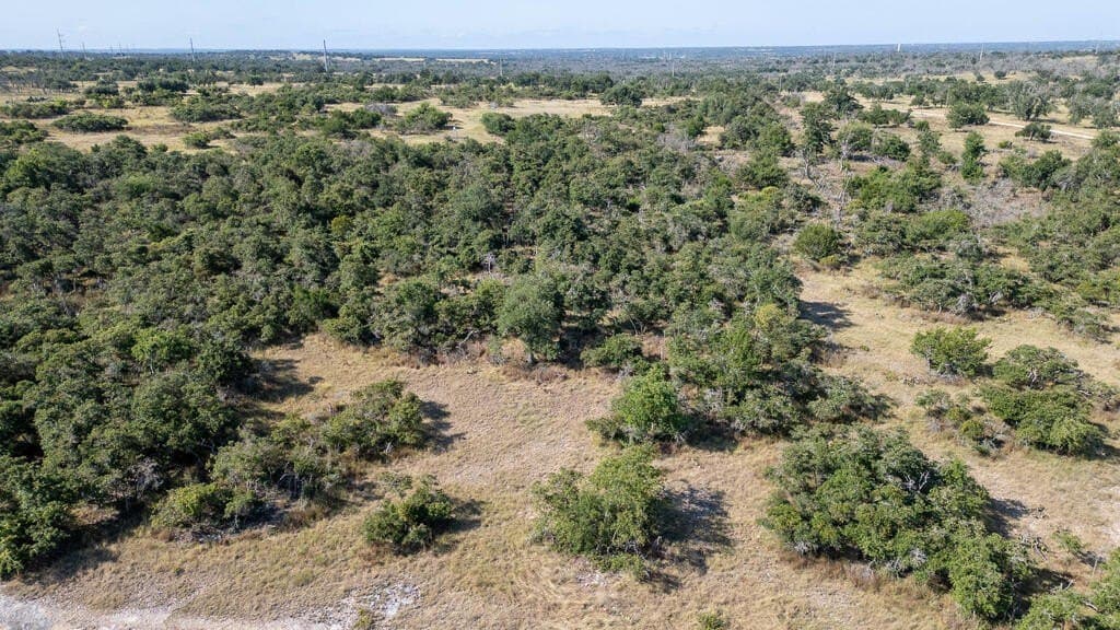 50 acres in Gillespie County - photo 46