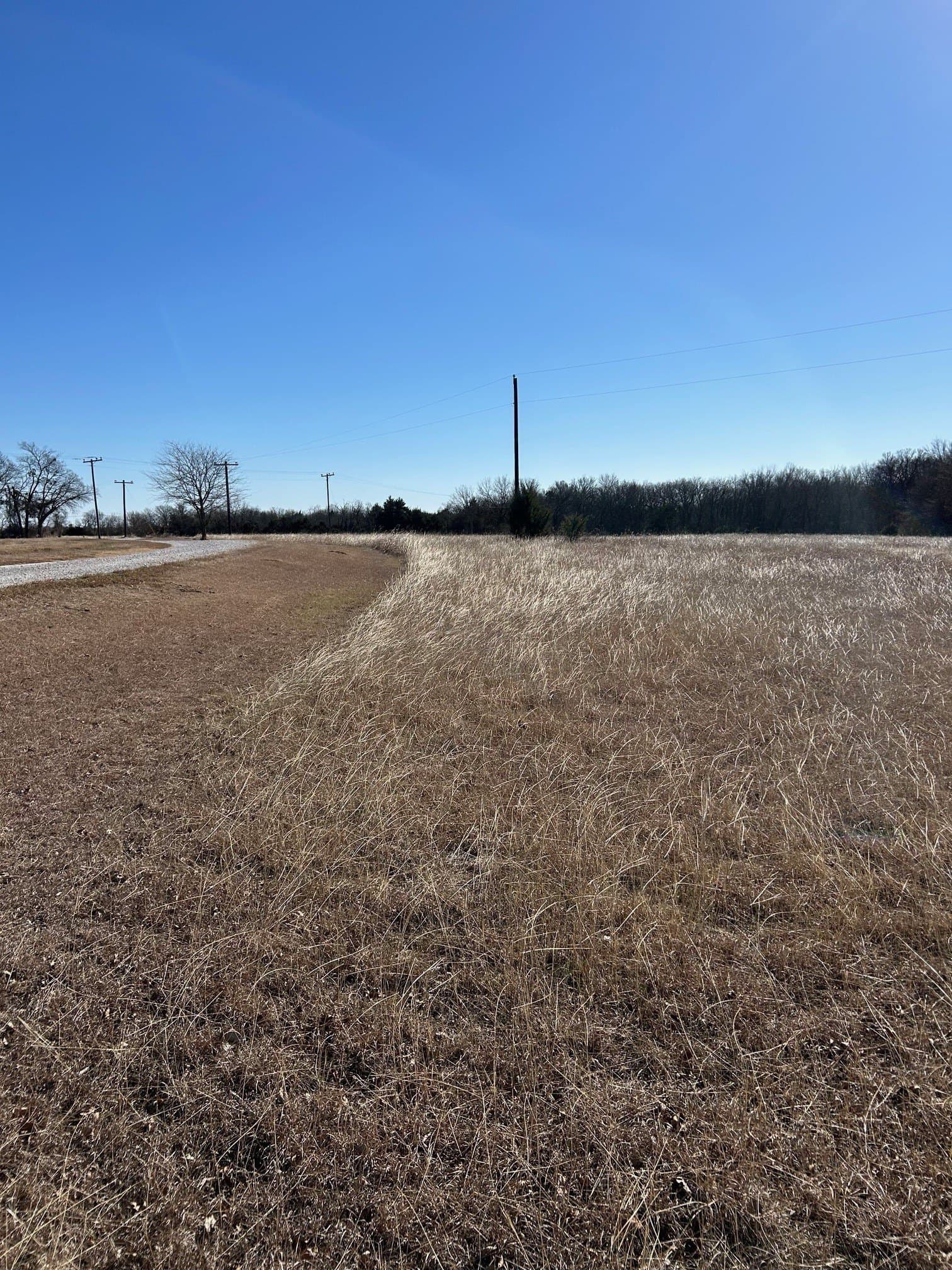 20.96 acres in Grayson County - photo 9
