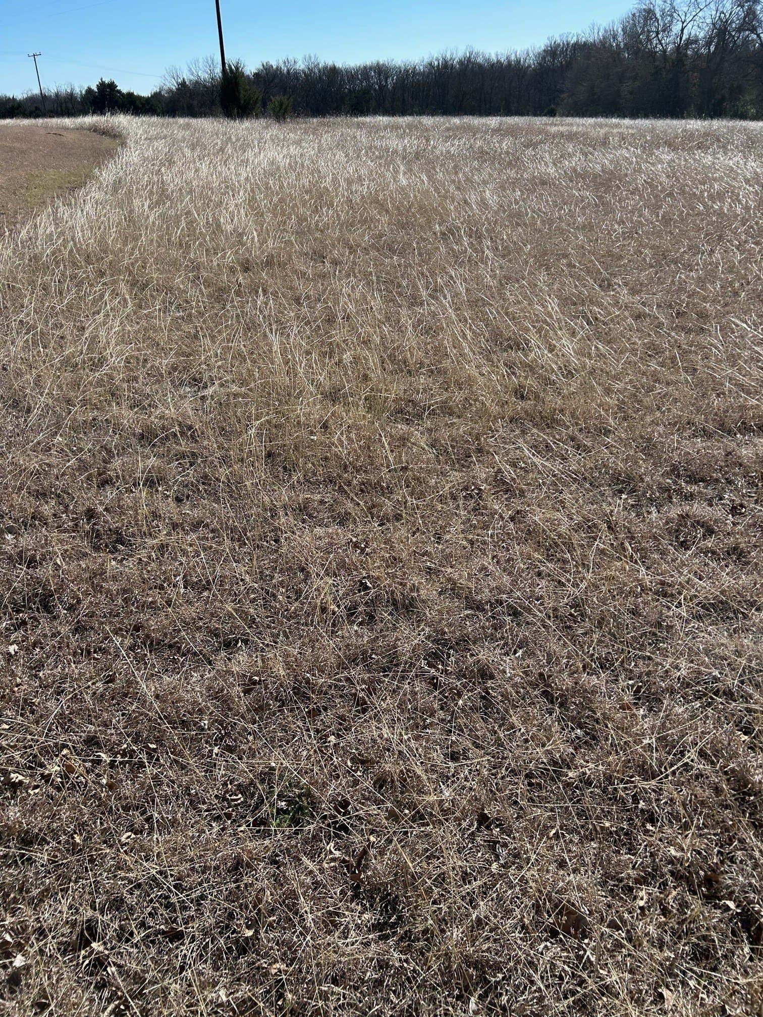 20.96 acres in Grayson County - photo 10