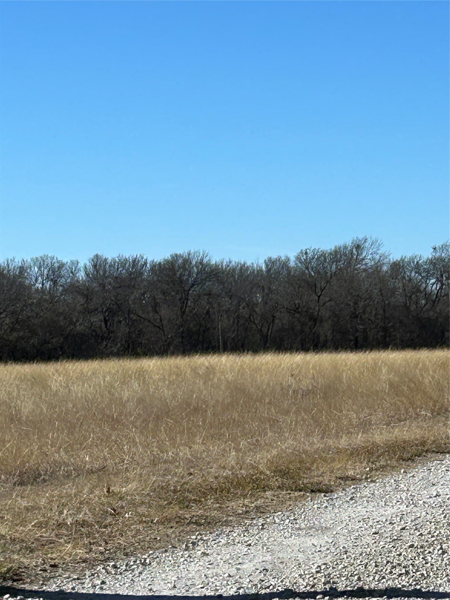 20.96 acres in Grayson County gallery image 4