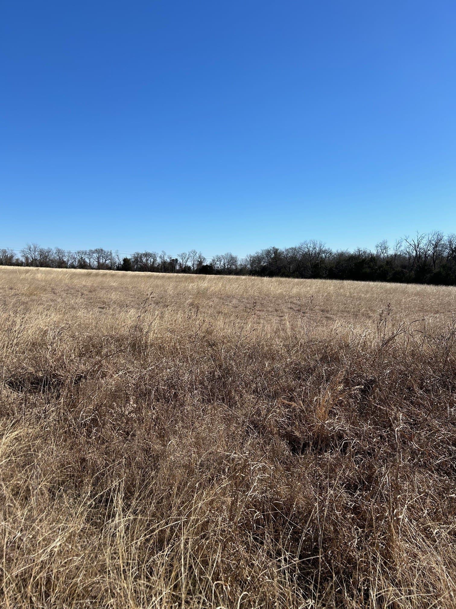 20.96 acres in Grayson County - photo 8
