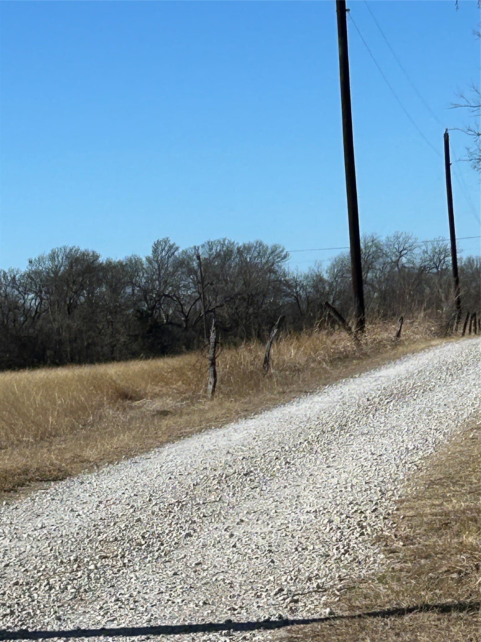 20.96 acres in Grayson County gallery image 2