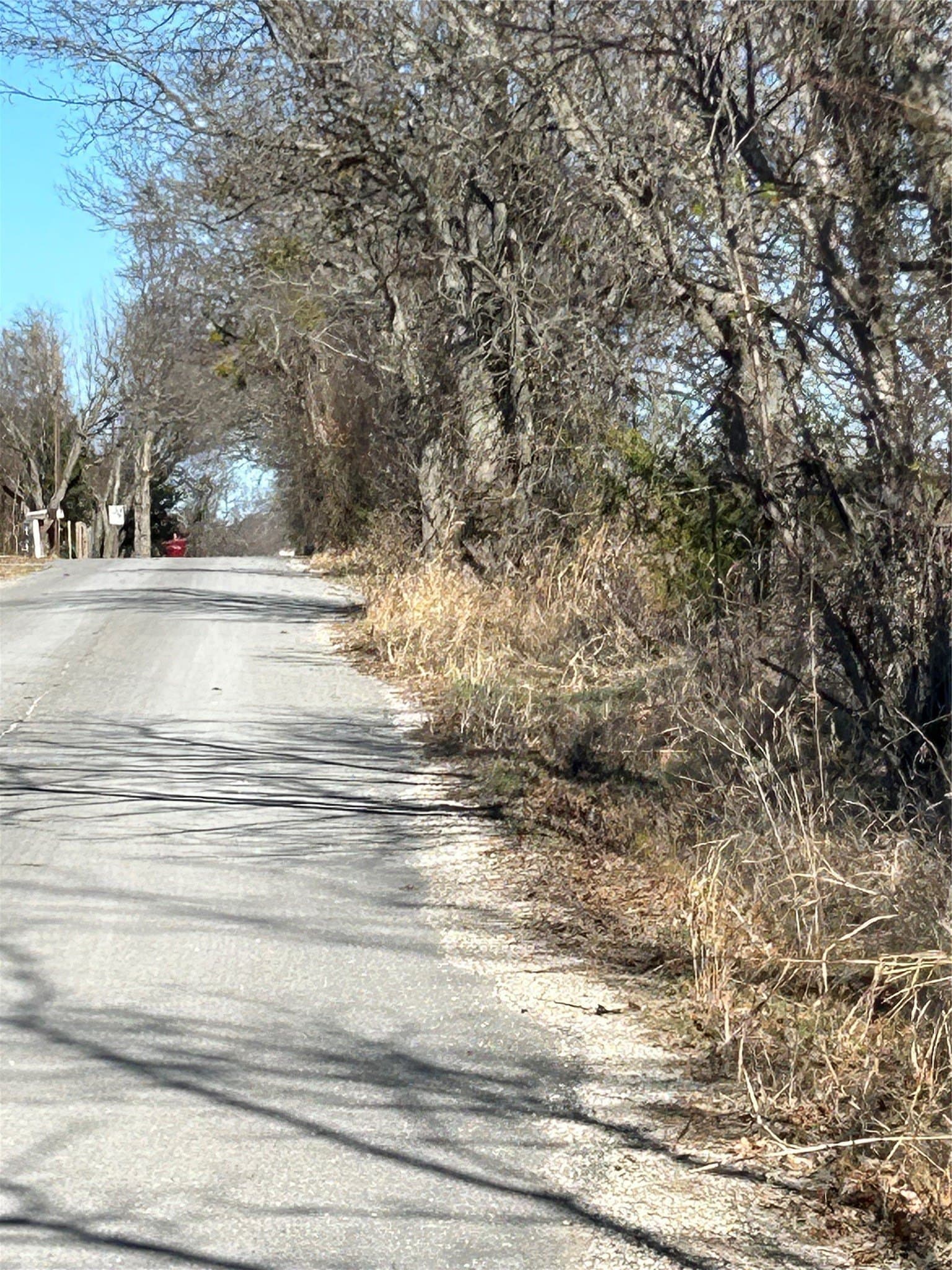 20.96 acres in Grayson County gallery image 3