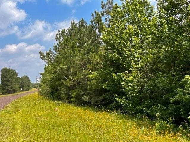 26 acres in Tyler County featured view