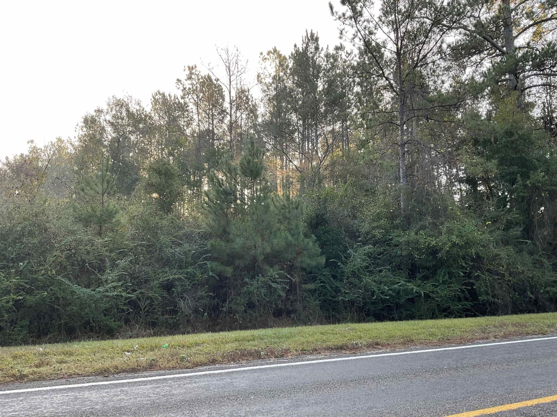 2.03 acres in Tyler County gallery image 4