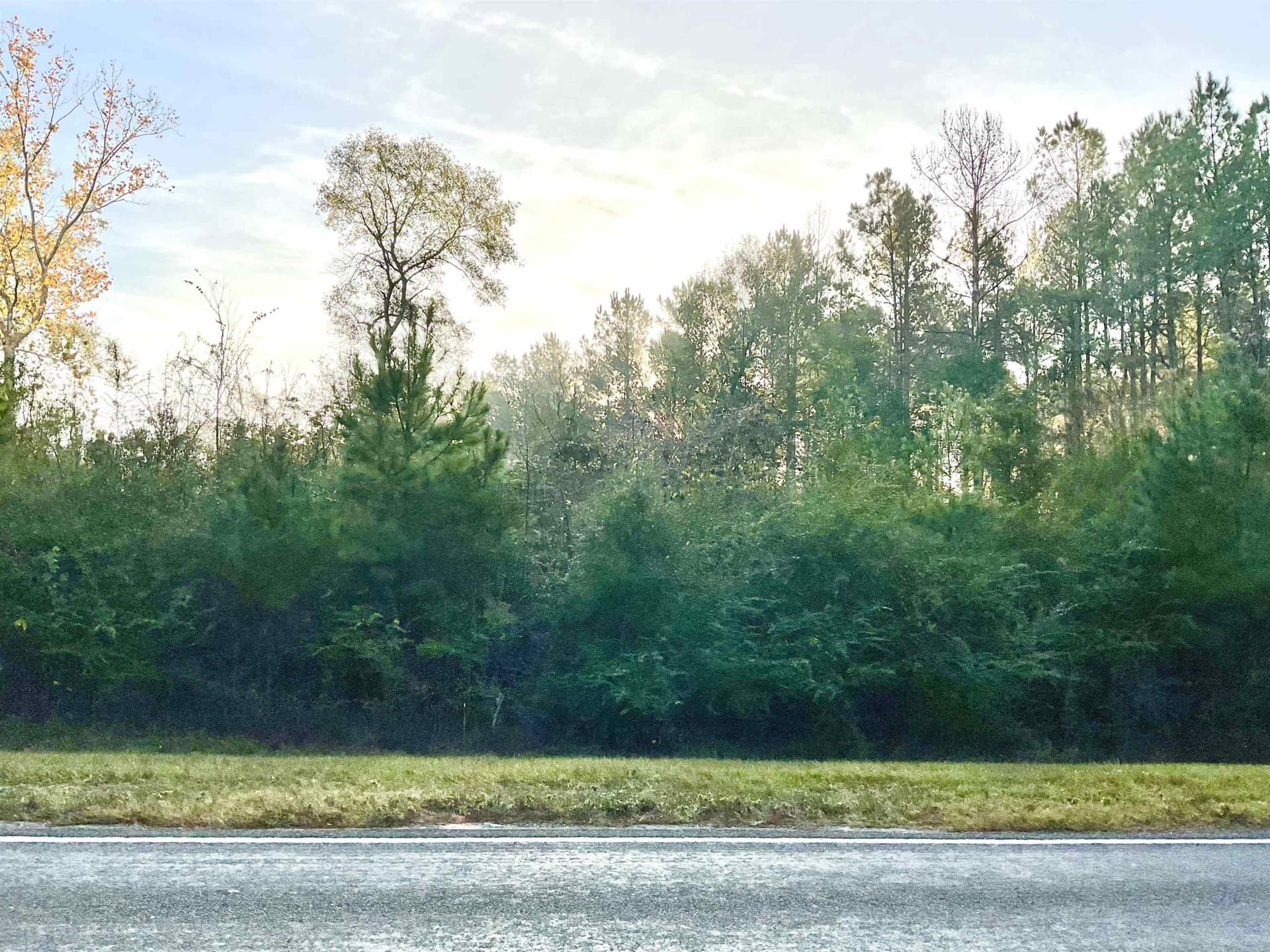 2.03 acres in Tyler County