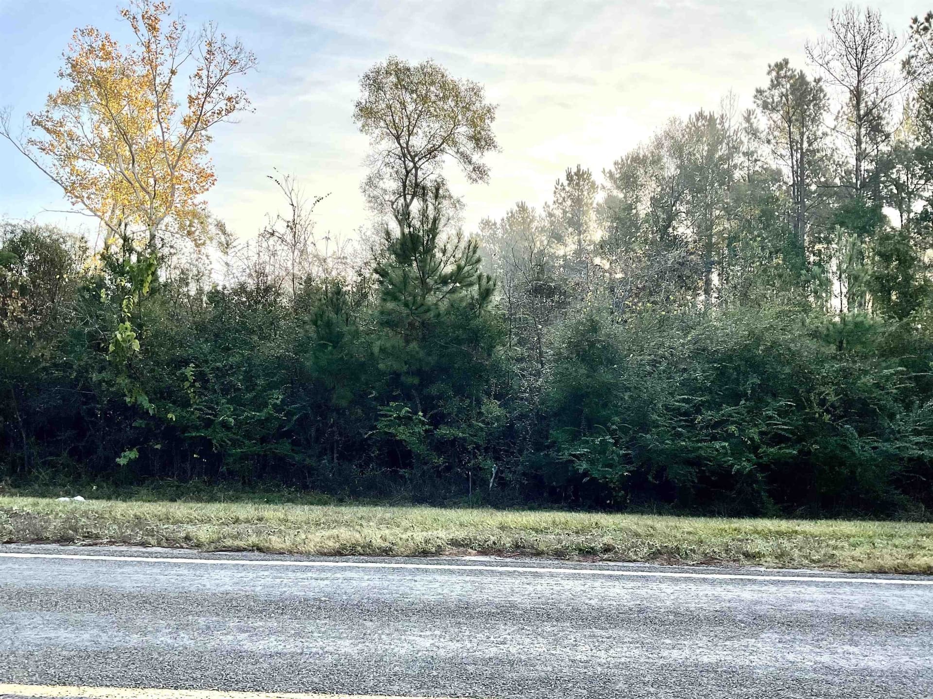 2.03 acres in Tyler County gallery image 3