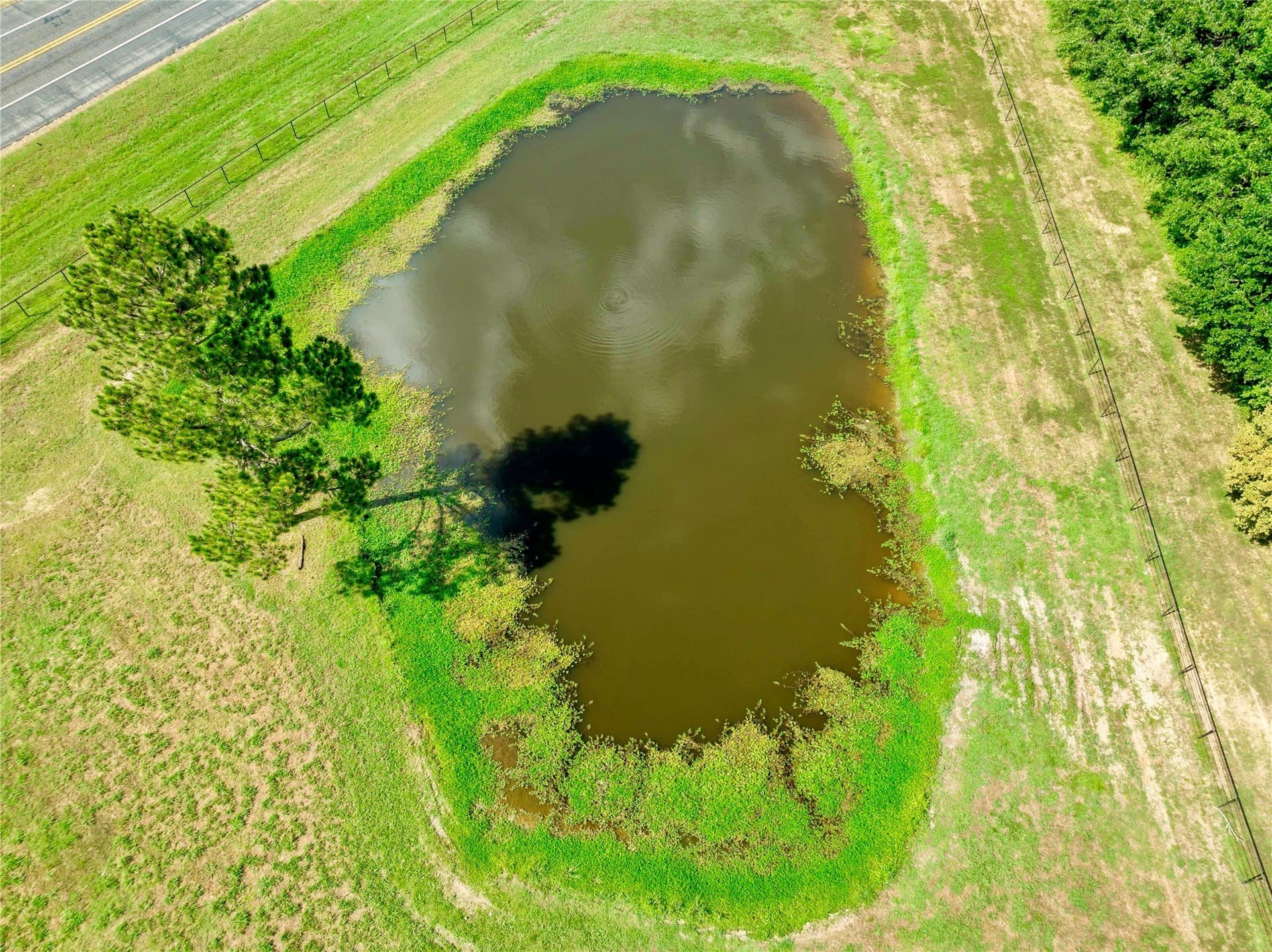 26.78 acres in Lamar County - photo 6