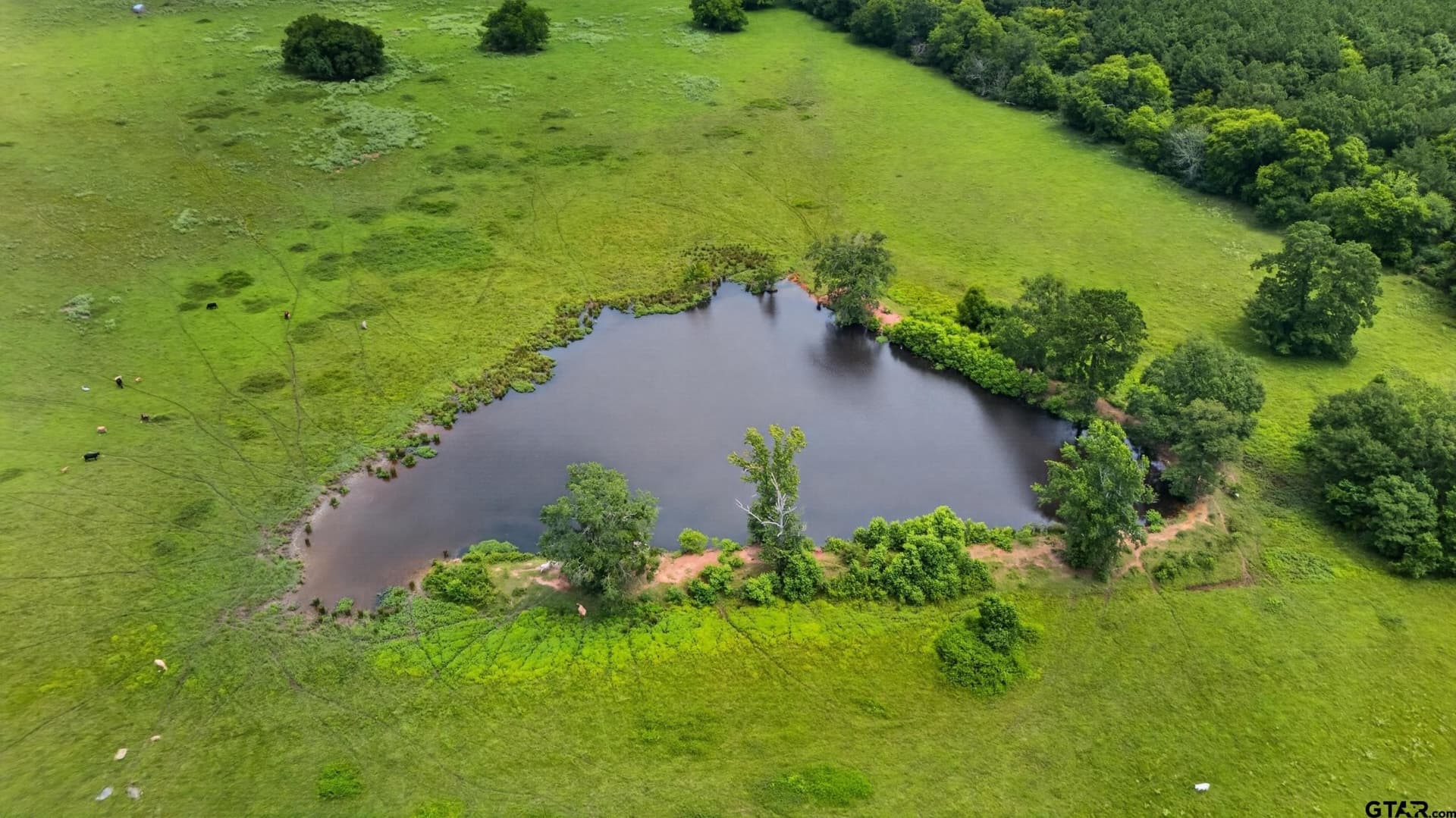 151.91 acres in Cherokee County - photo 5