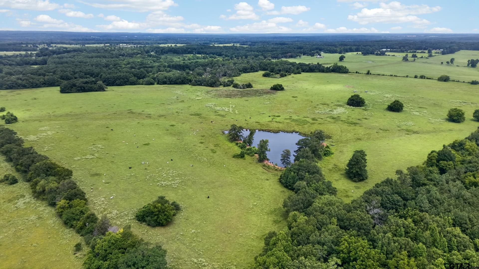 151.91 acres in Cherokee County - photo 6