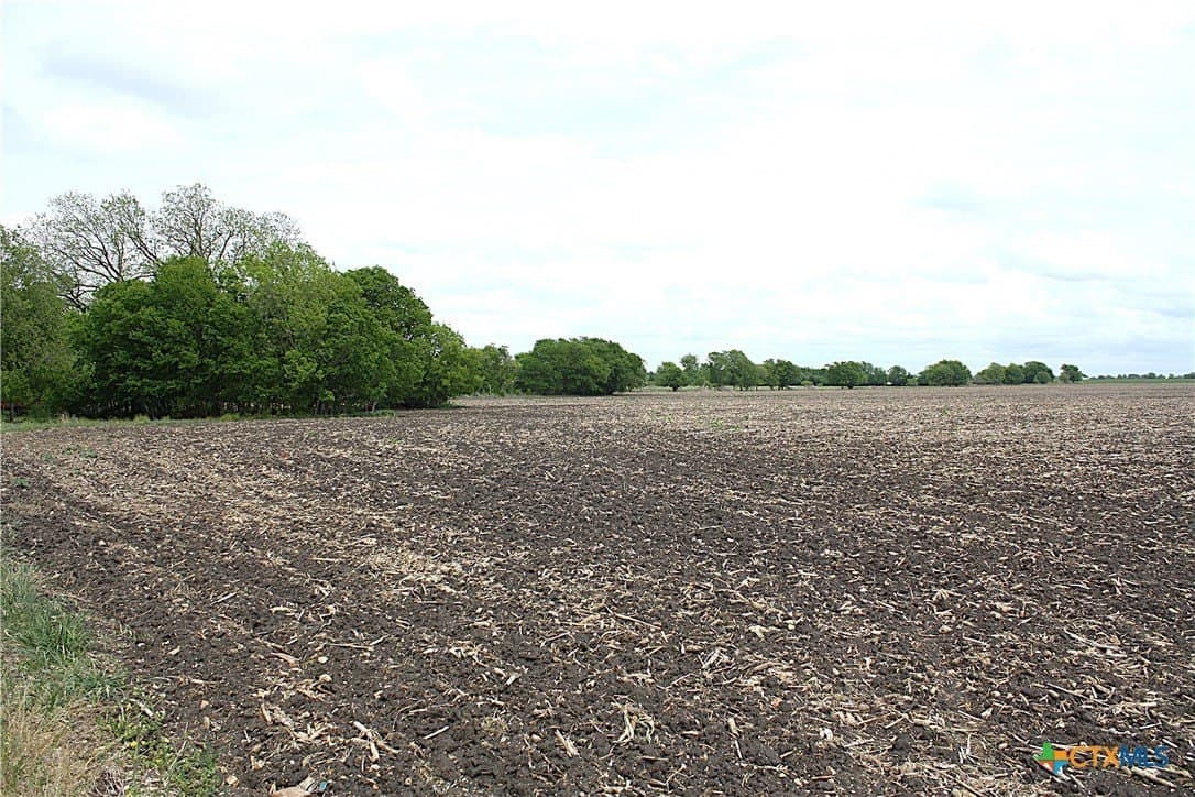 73.17 acres in Bell County - photo 12
