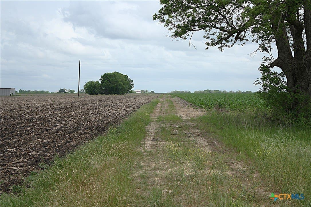 73.17 acres in Bell County - photo 9