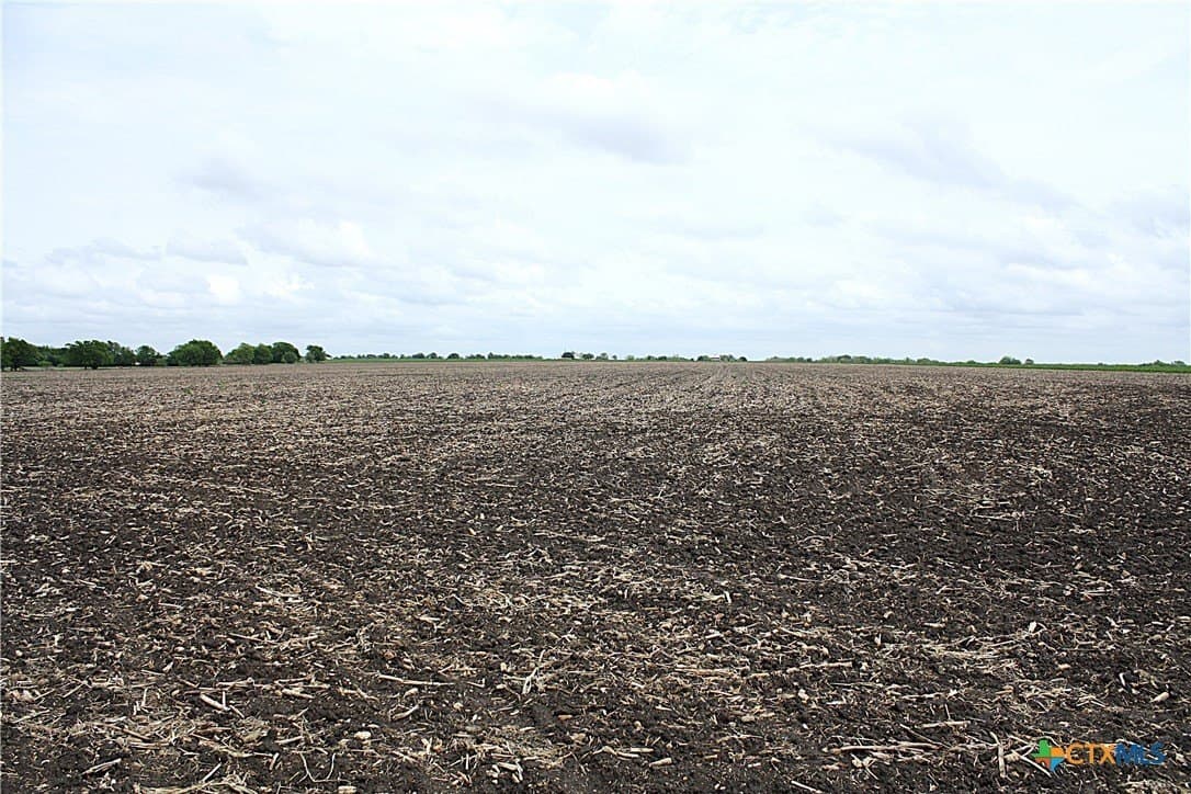 73.17 acres in Bell County - photo 15