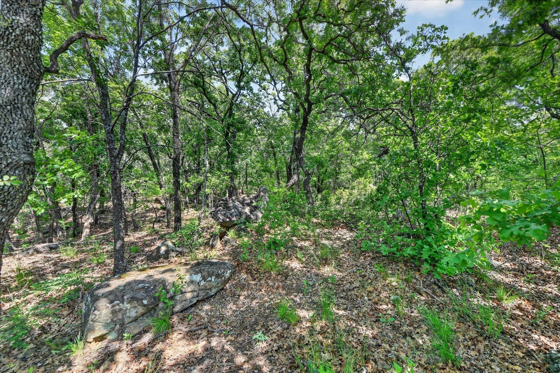 0.26 acres in Wise County - photo 8