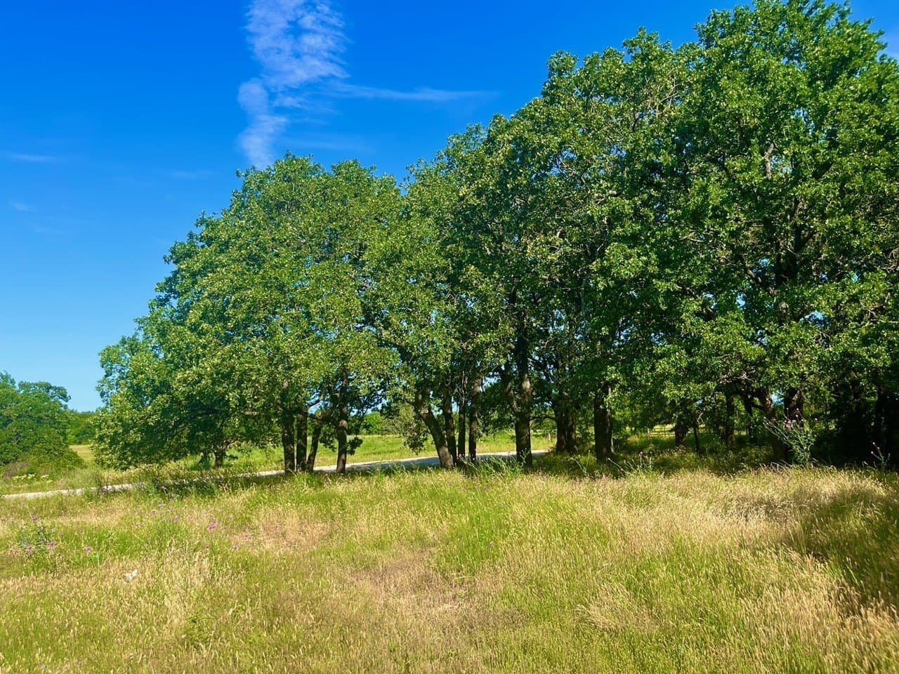4.3 acres in Parker County - photo 2
