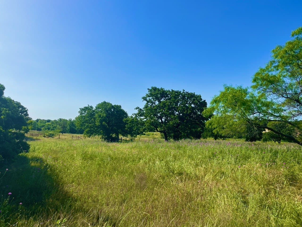 4.3 acres in Parker County - photo 3