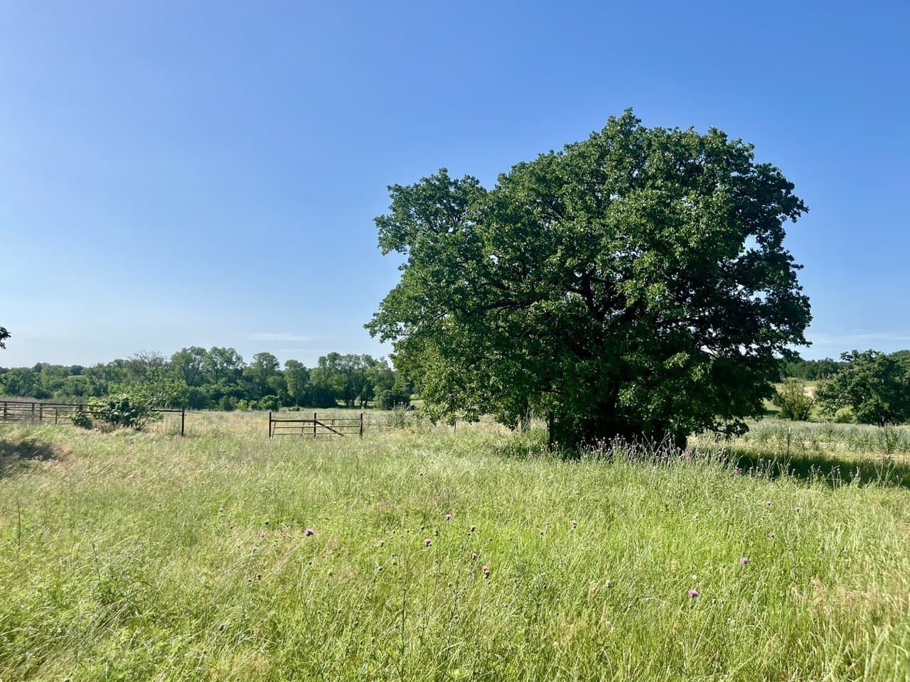 4.3 acres in Parker County - photo 4