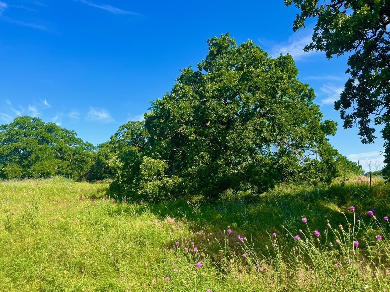 4.3 acres in Parker County - photo 6
