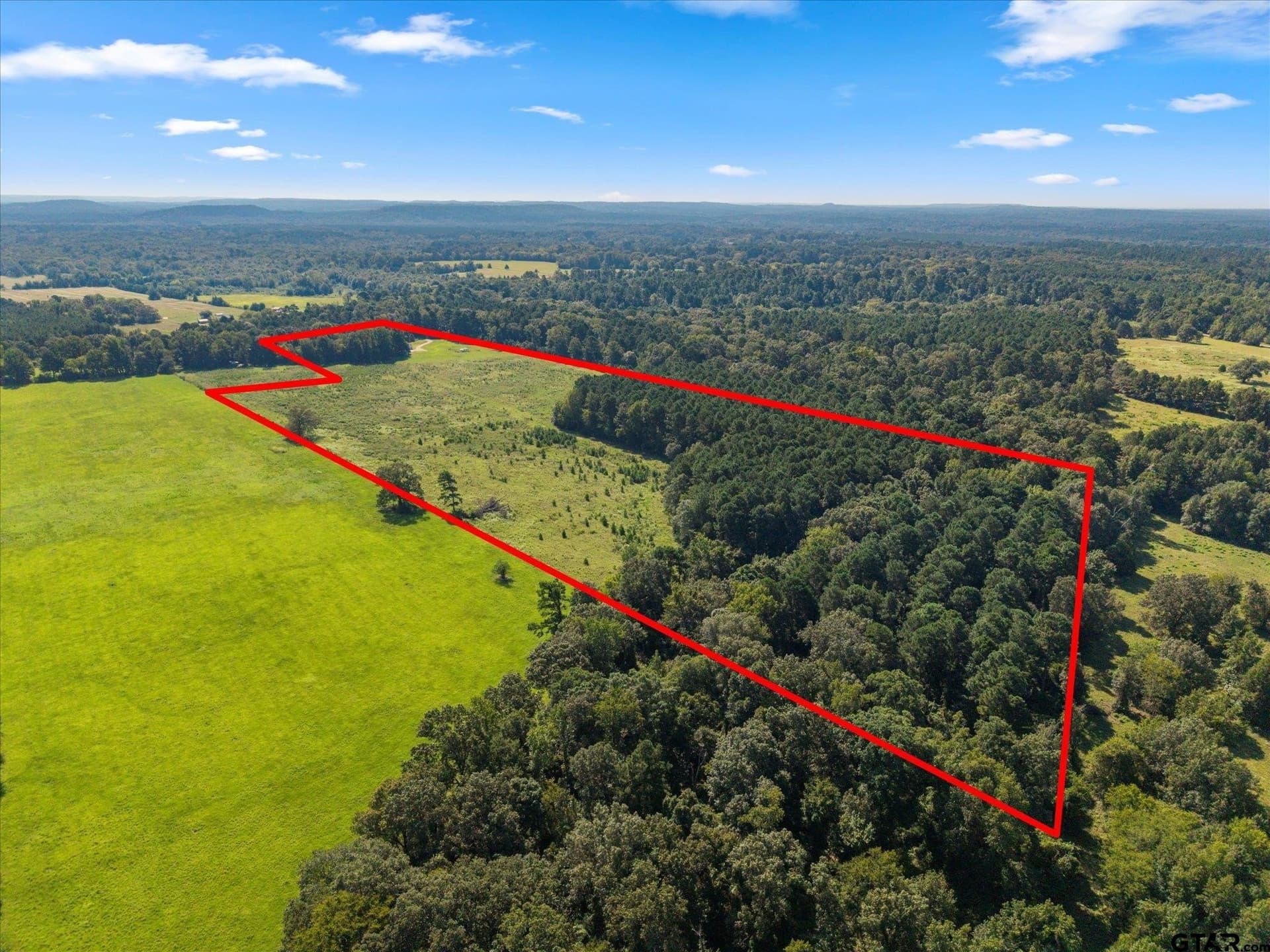 41 acres in Camp County - photo 34