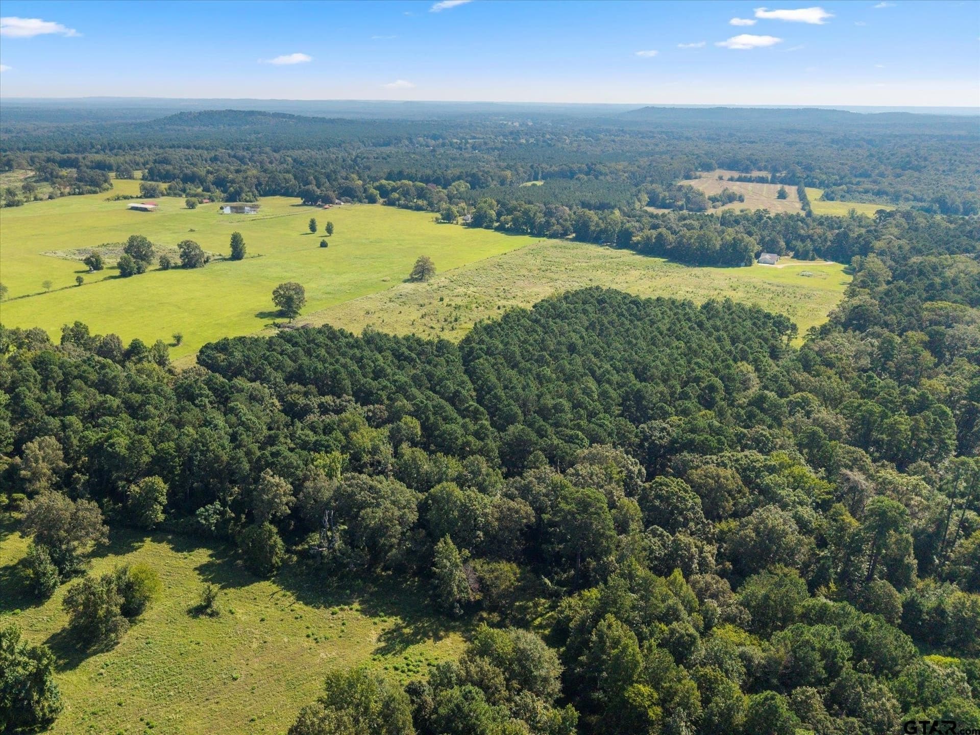 41 acres in Camp County - photo 32
