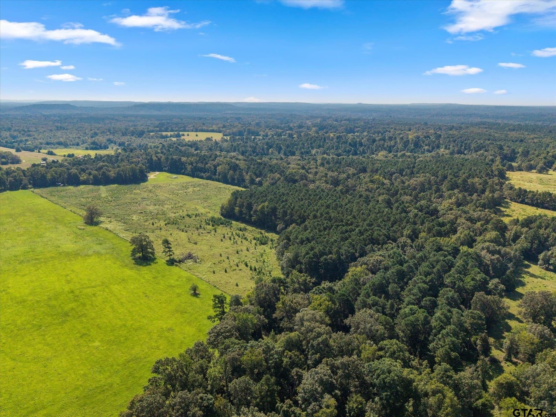 41 acres in Camp County - photo 31