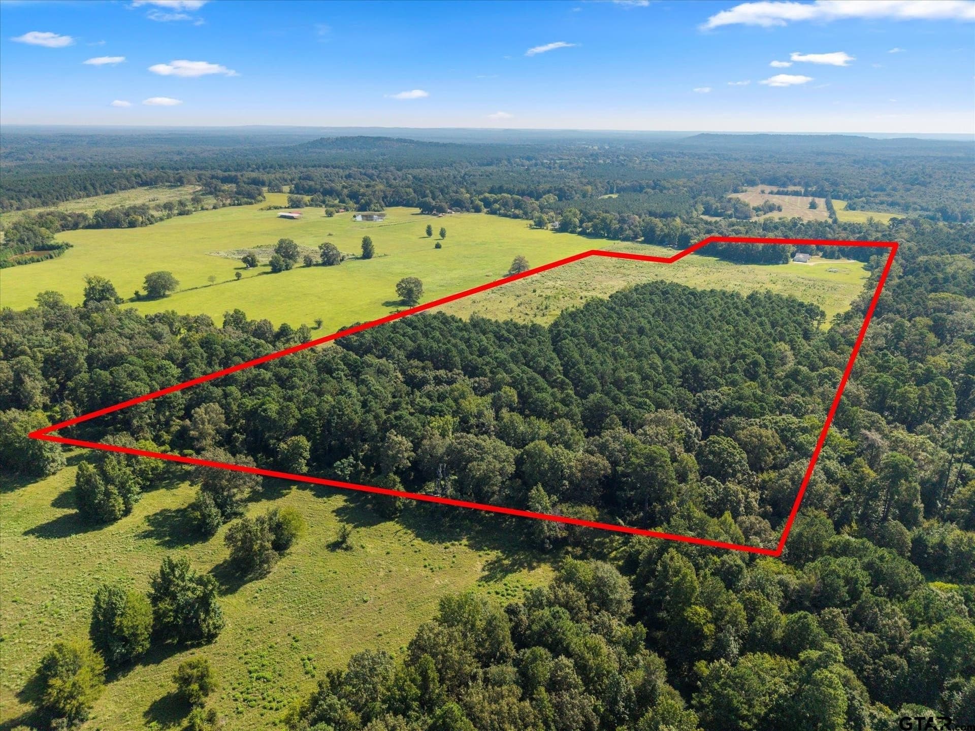 41 acres in Camp County - photo 35