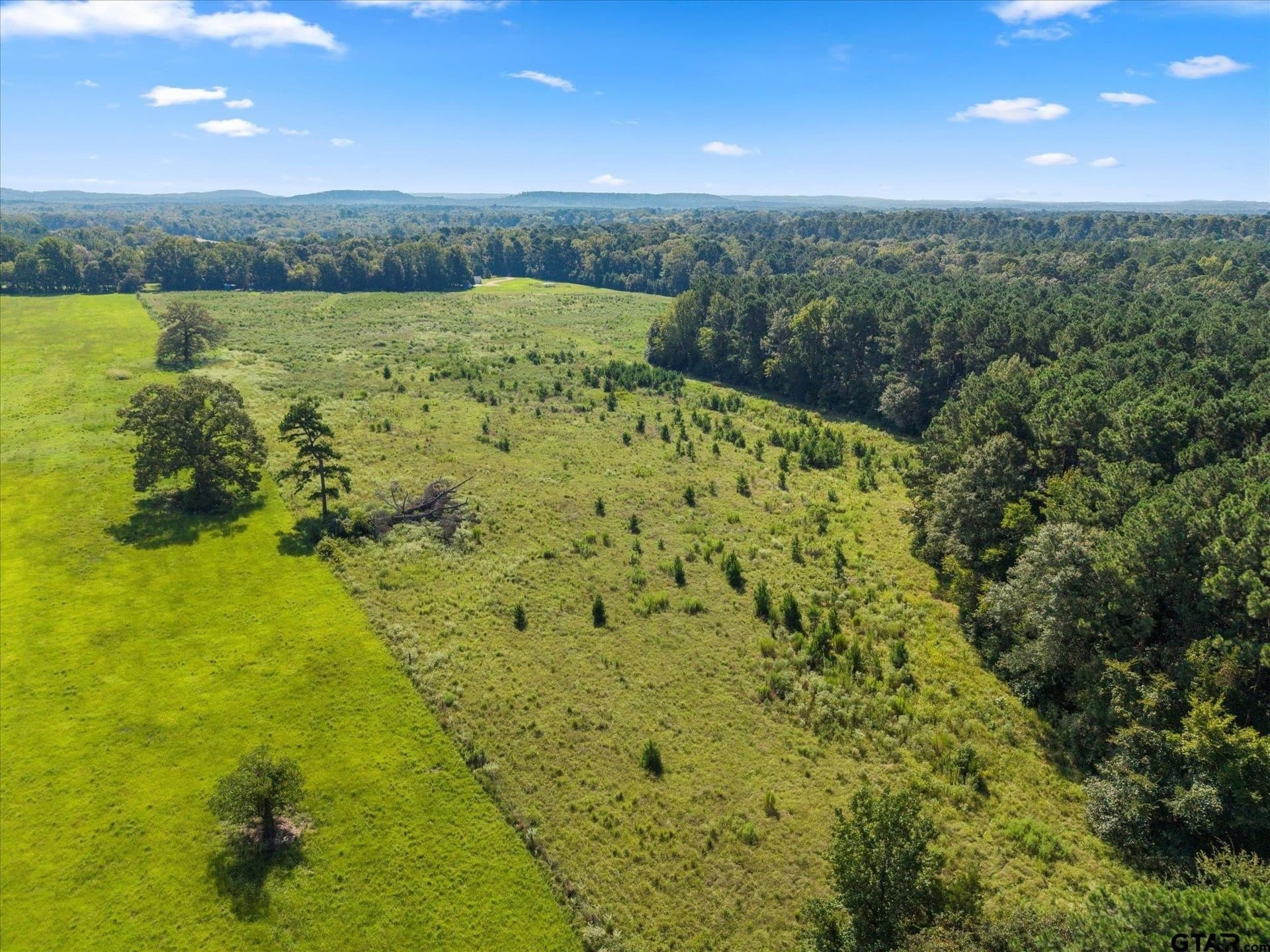 41 acres in Camp County - photo 30