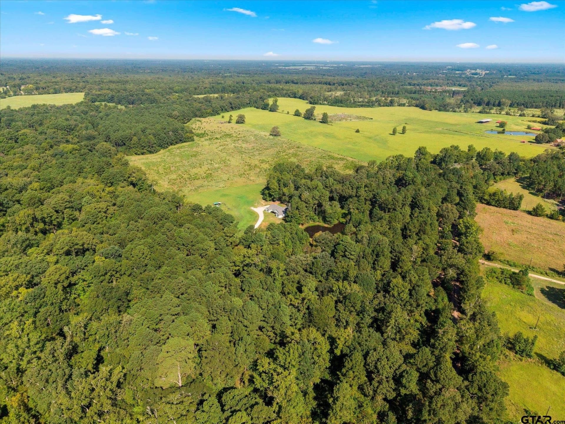 41 acres in Camp County - photo 33