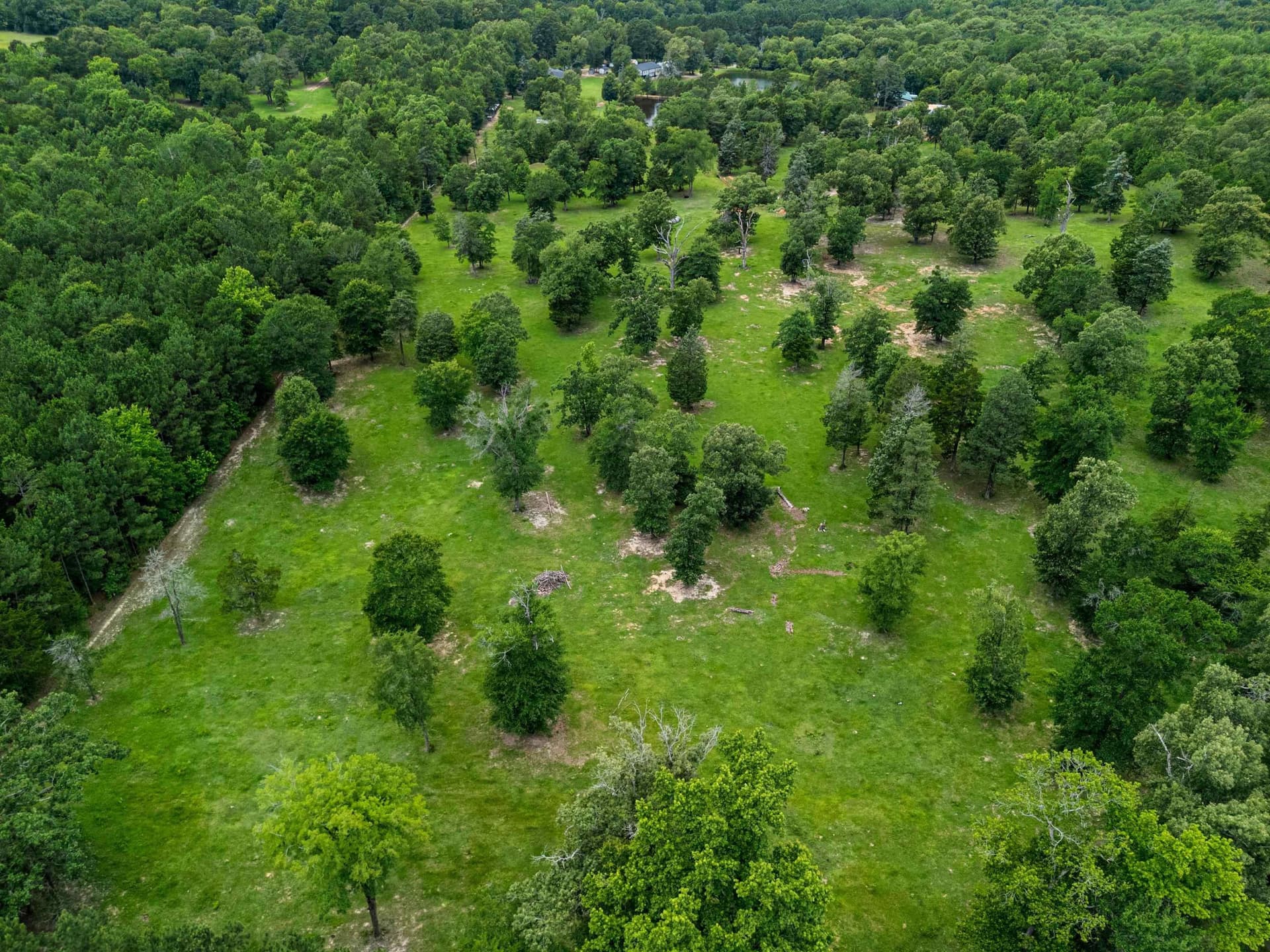 13.47 acres in Upshur County - photo 47