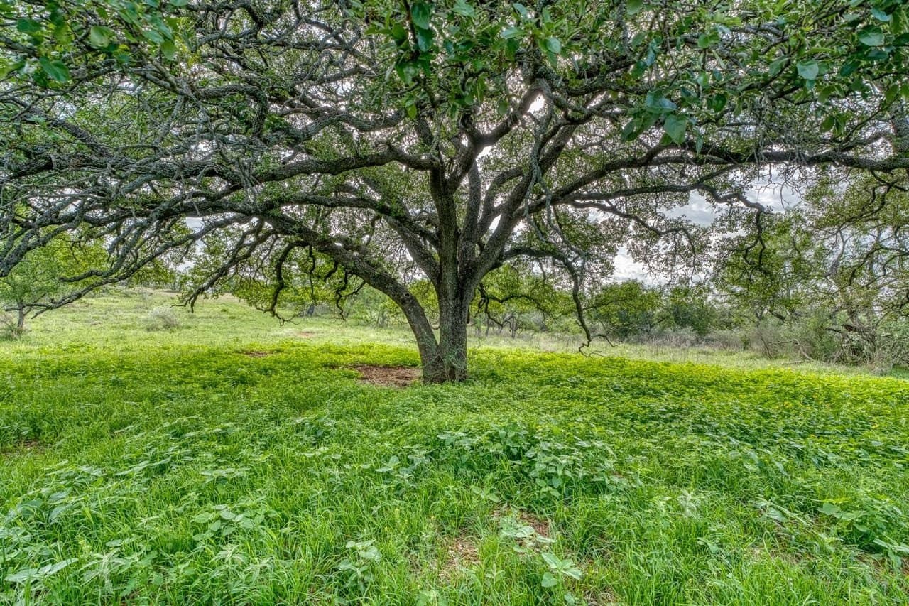 66.06 acres in Llano County - photo 37