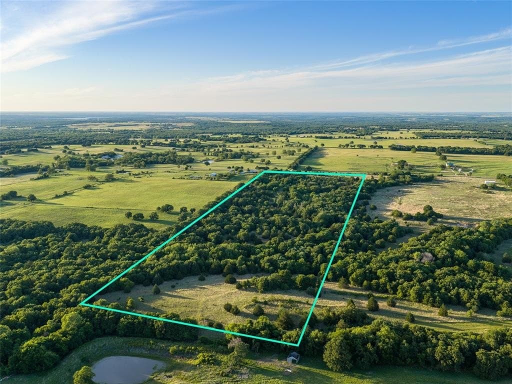 40 acres in Montague County gallery image 3