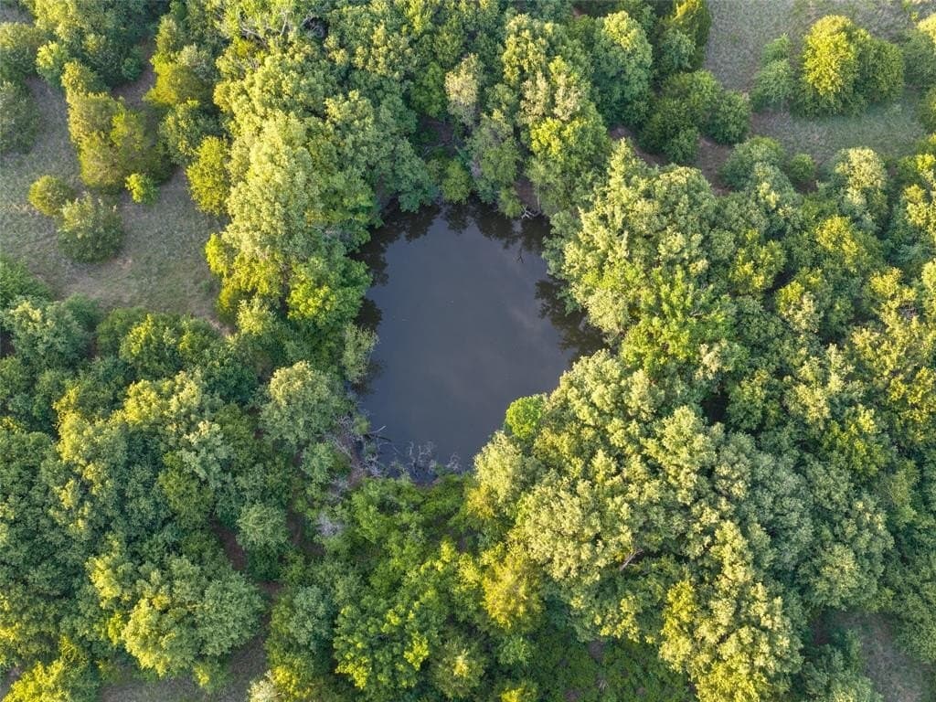 40 acres in Montague County gallery image 4