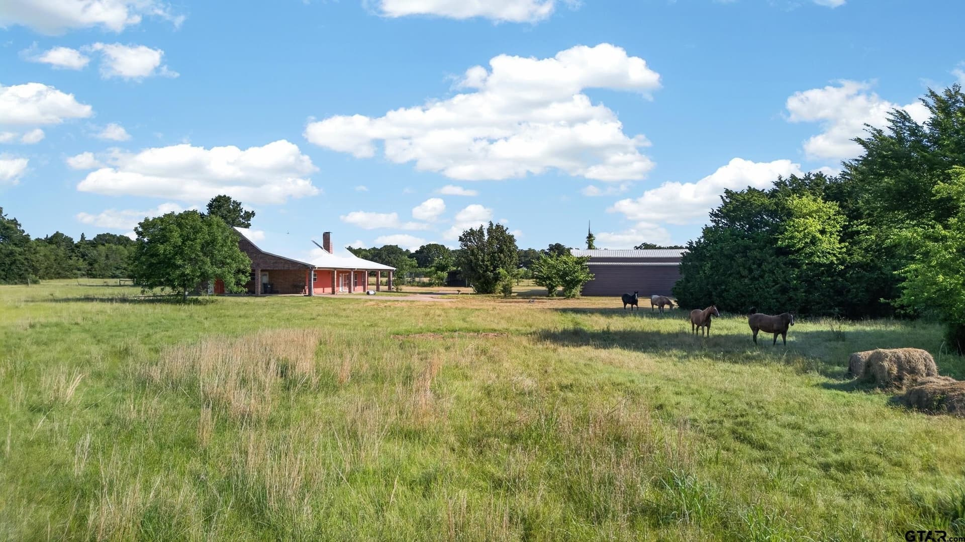 13.43 acres in Van Zandt County gallery image 4
