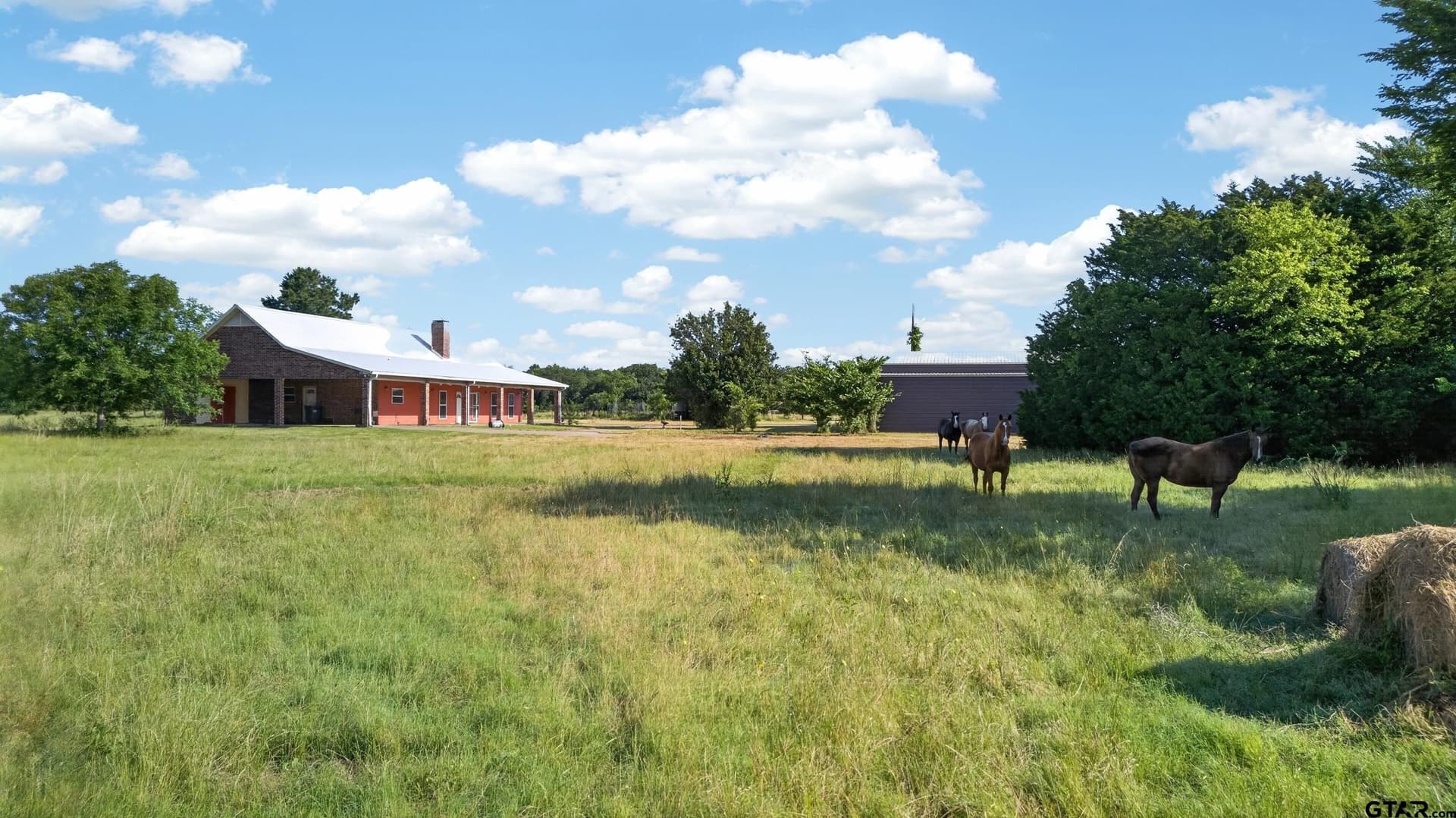 13.43 acres in Van Zandt County gallery image 3