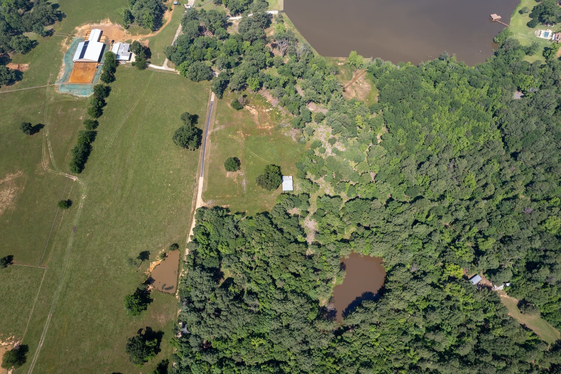 15.2 acres in Camp County - photo 9
