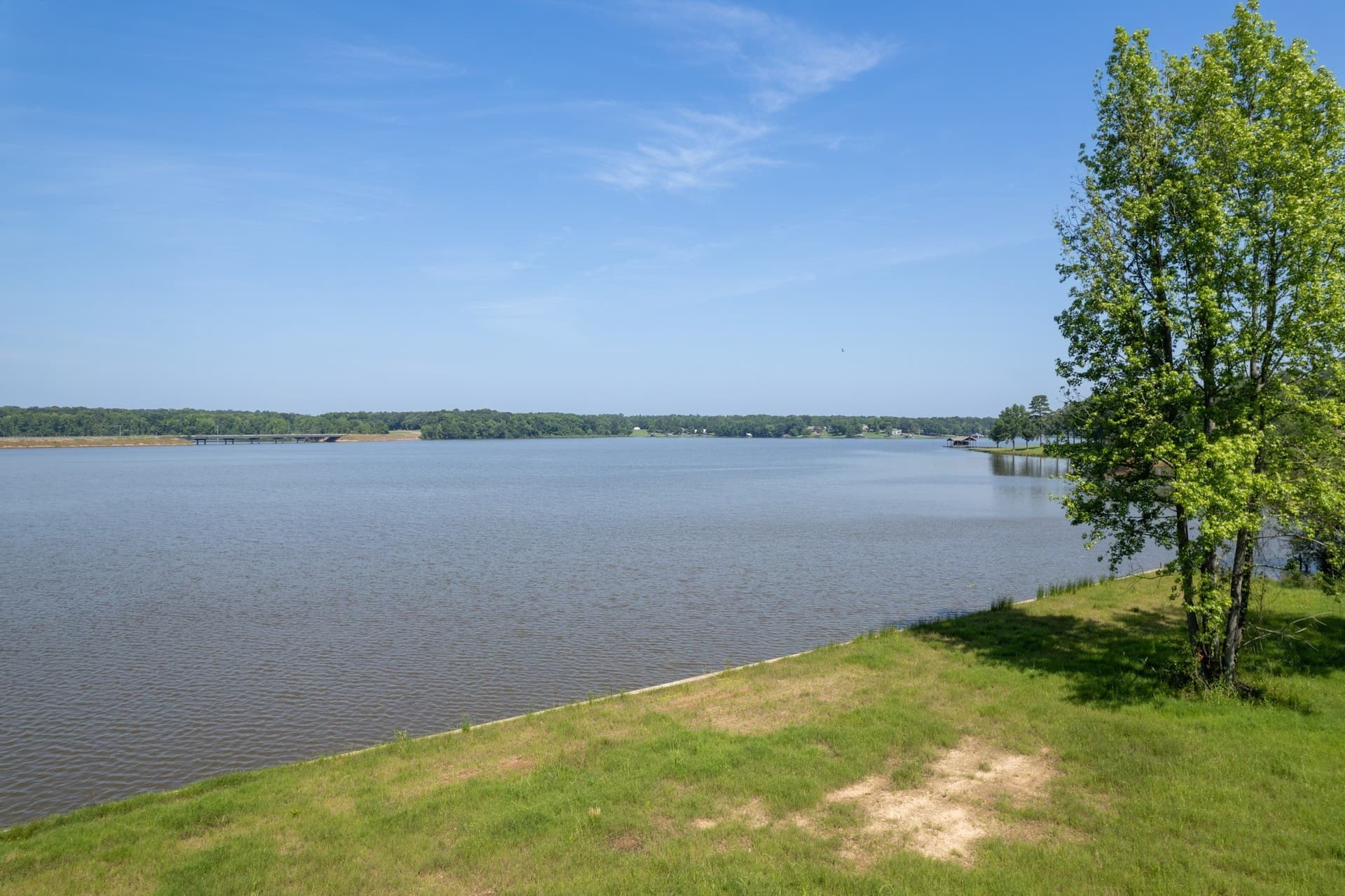15.2 acres in Camp County - photo 13