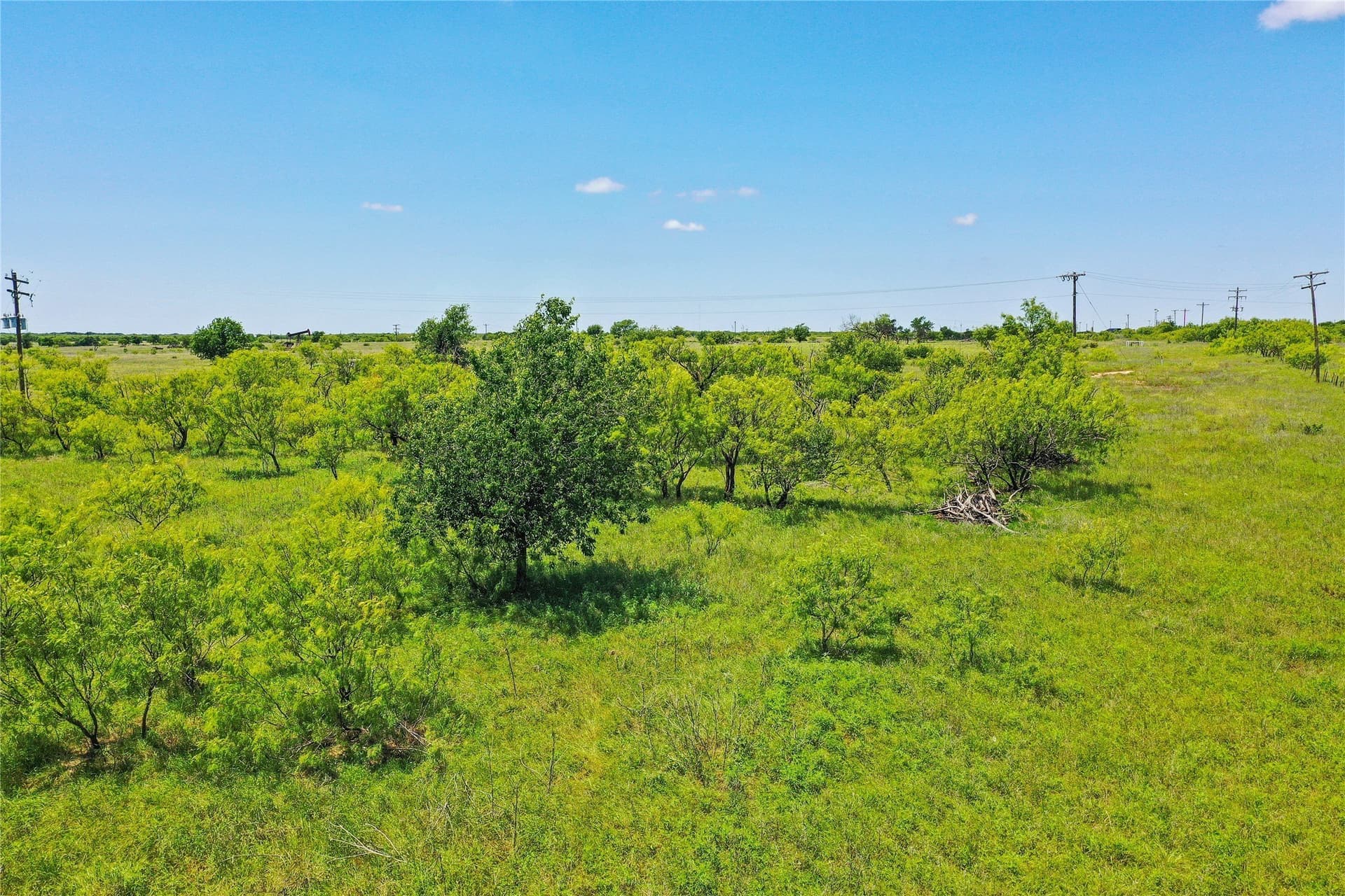 55.06 acres in Jack County - photo 7