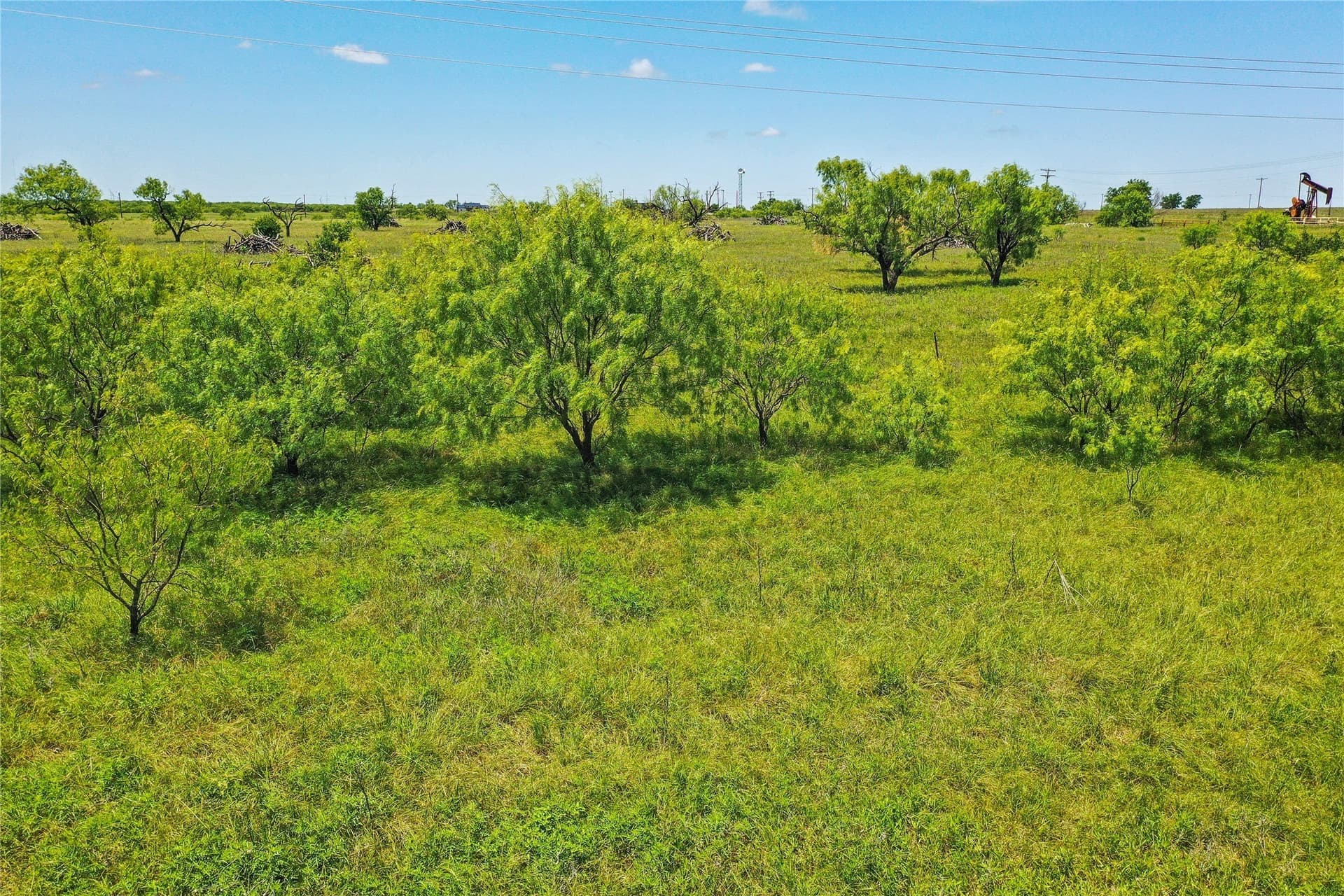 55.06 acres in Jack County - photo 14