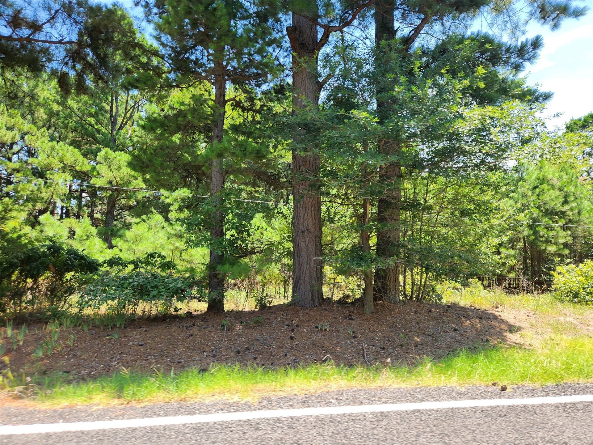 18.84 acres in Lamar County - photo 4
