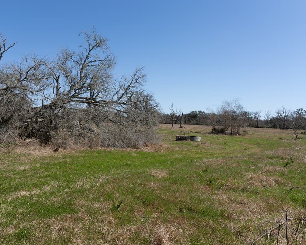 66.2 acres in Texas County featured view