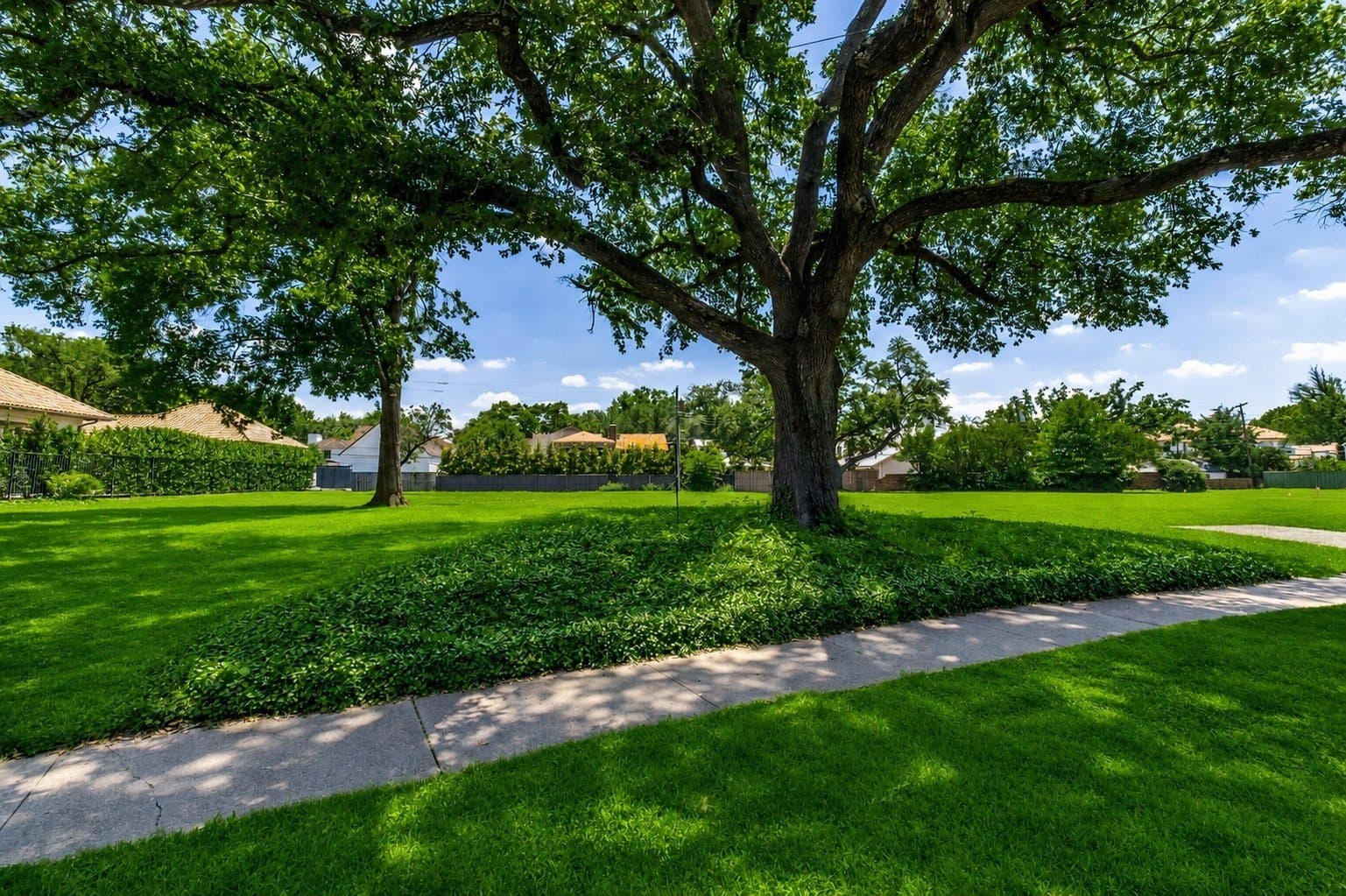0.68 acres in Dallas County gallery image 3