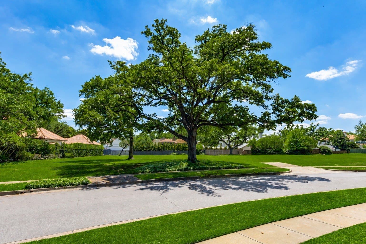 0.68 acres in Dallas County gallery image 2